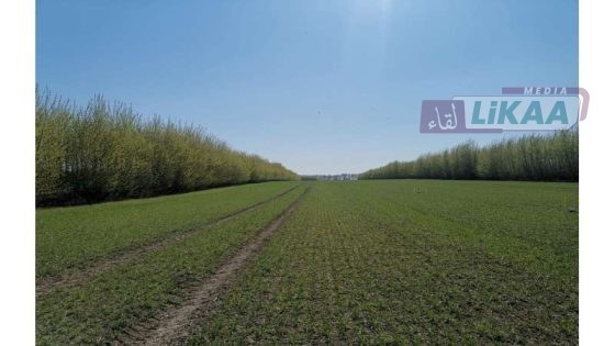 أسبوع العلوم الخامس يسلط الضوء على تحديات الزراعة بالمناطق الجافة