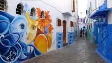 أصيلة… ربيع الفن وتجدد الروح الثقافية