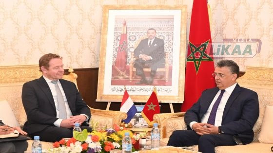 وزير العدل عبد اللطيف وهبي يبحث الأمن القضائي مع هولندا