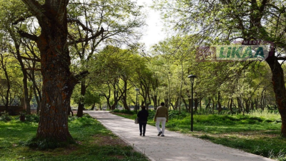 إفران تحتضن المنتدى المتوسطي للغابات النموذجية لتعزيز التعاون البيئي ومواجهة التحديات المناخية