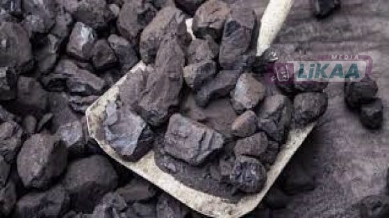 ارتفاع قياسي في أسعار الفحم بالمغرب قبل عيد الأضحى بسبب ندرة الخشب وتراجع الإنتاج