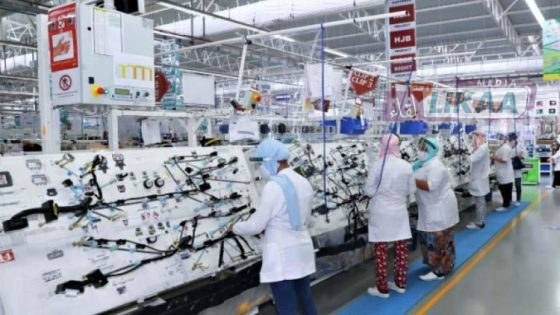 إحداث 1117 مقاولة جديدة بجهة طنجة-تطوان-الحسيمة خلال يناير 2026