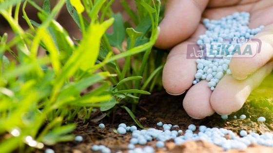 تحذير أممي: اضطراب الملاحة في مضيق هرمز يهدد بأزمة غذائية عالمية