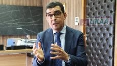 قفزة في إنتاج القنب الهندي المرخص بالمغرب خلال 2025 وتوسع في التصدير والتقنين