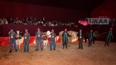 مكناس تحتفي بأفضل الكسابة… تتويج الفائزين في عروض المواشي بالملتقى الدولي للفلاحة