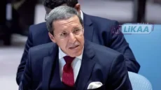 هلال: إبقاء ملف الصحراء ضمن لجنة الـ24 أصبح متجاوزًا