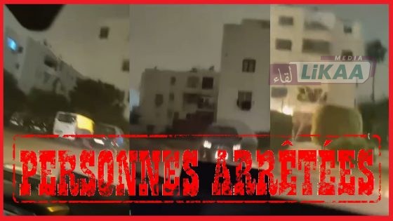 توقيف شخصين بالدار البيضاء بعد سبّ وتهديد عناصر الشرطة
