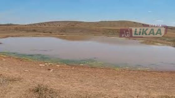 غرق شاب يودي بحياته ببركة مائية بجماعة تامدة بإقليم سيدي بنور