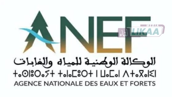 الوكالة الوطنية للمياه والغابات تنفي مزاعم اجتثاث غابات الأرز وتؤكد محدودية المخالفات