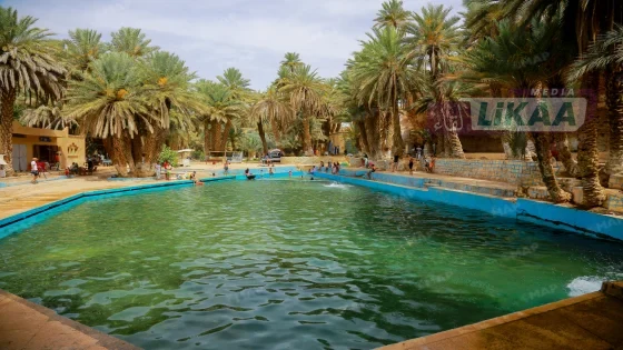 العين الزرقاء مسكي تستعيد بريقها بعد سنوات الجفاف وتنعش الحركة السياحية بالرشيدية