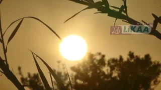 طقس الخميس: أجواء حارة نسبياً بعدد من المناطق وضباب ورياح قوية محلياً