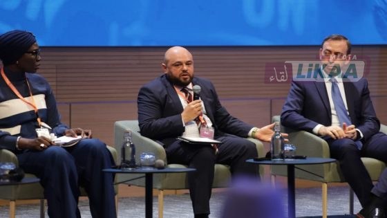 الاستقرار على المحك.. خبراء ومسؤولون عسكريون يفككون إرث عقد من عمليات حفظ السلام في إفريقيا (صور)