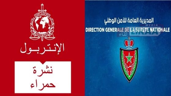 بتنسيق مع “الديستي”.. توقيف 11 شخصاً مبحوثاً عنهم دولياً وحجز سيارات وساعات فاخرة