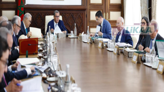 تعزيز حماية الإبداع في العصر الرقمي.. المصادقة على مشروع قانون جديد لحقوق المؤلف