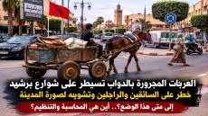 العربات المجرورة بالدواب تغزو شوارع برشيد.. بين تشويه المشهد الحضري وتهديد سلامة المواطنين