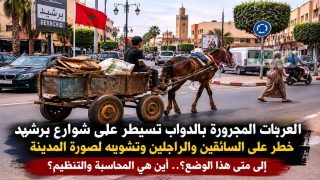 العربات المجرورة بالدواب تغزو شوارع برشيد.. بين تشويه المشهد الحضري وتهديد سلامة المواطنين