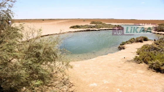 سبخة إمليلي بالداخلة.. جوهرة بيئية فريدة تستقطب عشاق الطبيعة والسياحة المستدامة