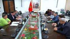 المغرب والأراضي المنخفضة يعززان شراكتهما الاستراتيجية في التكوين المهني والتشغيل