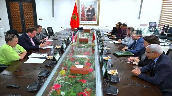 المغرب والأراضي المنخفضة يعززان شراكتهما الاستراتيجية في التكوين المهني والتشغيل