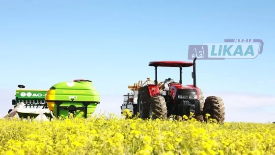 الاقتصاد المغربي يواصل النمو بنسبة 4.6% خلال الربع الأول من 2026