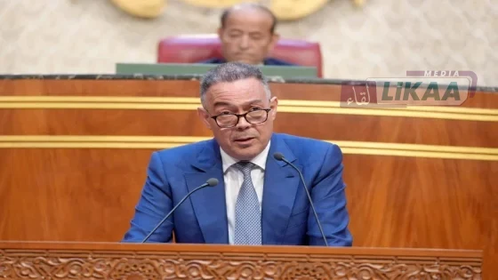 لقجع: إصلاح الدعم الاجتماعي يستهدف تحفيز المستفيدين على العمل