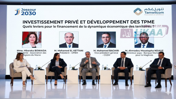 المواكبة المالية وغير المالية في صلب دعم المقاولات الصغيرة وتحفيز الاستثمار الخاص