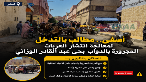 أسفي.. مطالب بالتدخل لمعالجة انتشار العربات المجرورة بالدواب بحي عبد القادر الوزاني