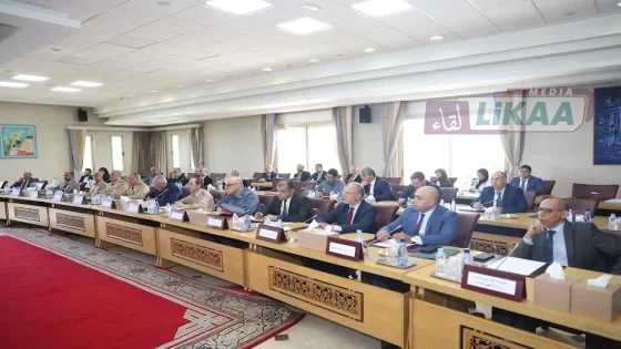 لجنة اليقظة الوطنية تعزز الاستعداد لمواجهة مخاطر الفيضانات