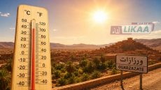 موجة حر شديدة تضرب الجنوب الشرقي للمغرب… وارتفاع نشاط الزواحف