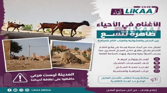 انتشار الأغنام والماعز بأحياء وجدة يثير مطالب بتشديد المراقبة