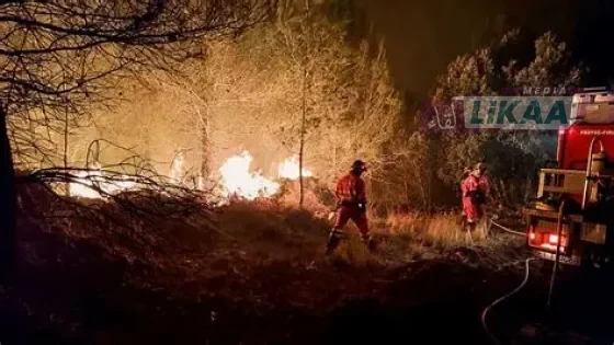 مقتل 13 شخصا بينهم أجانب في حرائق غابات مدمرة جنوب إسبانيا