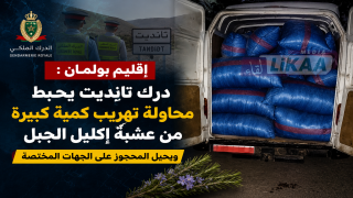 إقليم بولمان: درك تانديت يحبط محاولة تهريب كمية كبيرة من عشبة إكليل الجبل ويحيل المحجوز على الجهات المختصة