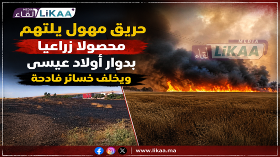 حريق مهول يلتهم محصولا زراعيا بدوار أولاد عيسى ويخلف خسائر فادحة