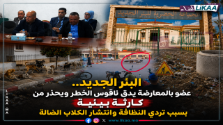 البئر الجديد.. عضو بالمعارضة يدق ناقوس الخطر ويحذر من كارثة بيئية بسبب تردي النظافة وانتشار الكلاب الضالة