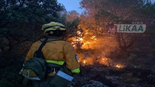 حريق غابوي بطنجة يلتهم أكثر من 35 هكتاراً واستنفار جوي وبري للسيطرة على النيران