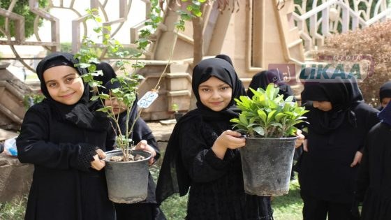 برنامج المدارس الصيفية بالقدس يحتفي بشجرة الزيتون ويعزز الوعي البيئي لدى الأطفال