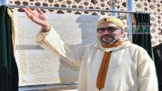 عيد الشباب.. مناسبة لتجديد الاهتمام بتمكين الأجيال الصاعدة