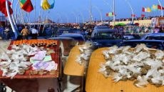 مولاي عبد الله أمغار.. توقيف ثلاثة أشخاص وحجز مخدرات خلال الحملات الأمنية
