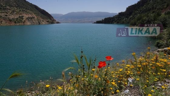 السدود المغربية تتجاوز 67% من الملء.. تحسن لافت وتفاوتات مائية مستمرة