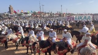 افتتاح فعاليات موسم مولاي عبد الله أمغار بالجديدة