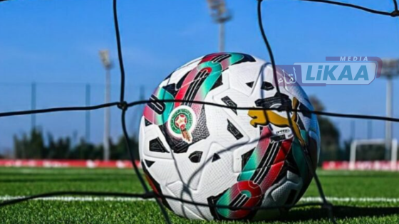مقترحات جديدة لتطوير البطولة الاحترافية.. دعم الشباب وتقليص الأجانب وتشديد شروط الصعود