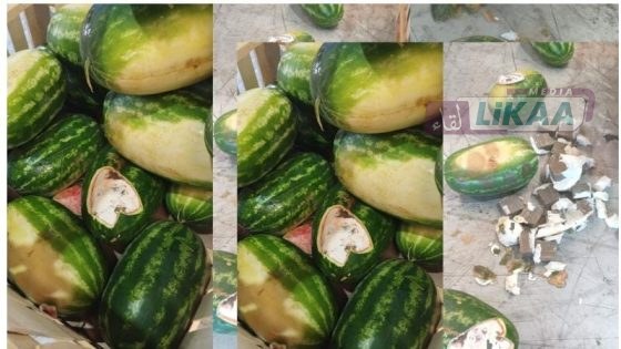 احباط تهريب تسريب شحنة مخدرات بميناء طنجة المتوسط