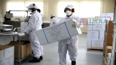 الجمارك تعدل تدابير استيراد وتصدير الأقنعة والمطهرات
