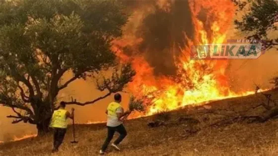 حرائق الغابات تحاصر كولومبيا البريطانية.. إجلاء آلاف السكان بعد اتساع رقعة النيران