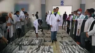 ميناء الداخلة يسجل تراجعاً حاداً في مفرغات الصيد الساحلي والتقليدي خلال 2026