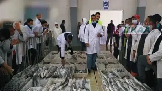 ميناء الداخلة يسجل تراجعاً حاداً في مفرغات الصيد الساحلي والتقليدي خلال 2026