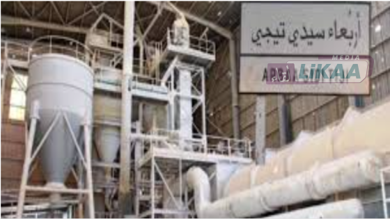 مصنع الجبس بسيدي التيجي بإقليم آسفي.. استثمار مغربي يشغل 110 عاملاً