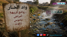 واد الحار بعين جراح.. روائح كريهة وحشرات تؤرق الساكنة ومطالب بتدخل عاجل