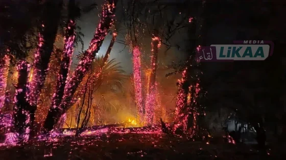 السيطرة على حريق بواحة “أياي” في تيزنيت بعد ساعات من التدخل وتسجيل خسائر محدودة