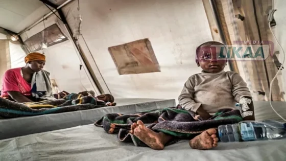 الملاريا تصيب أكثر من 26 مليون شخص في الكونغو الديمقراطية خلال عام واحد
